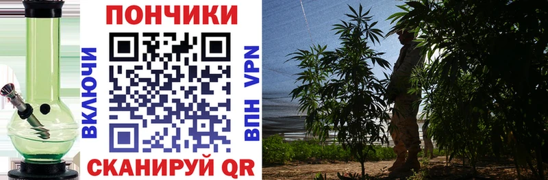 Магазины продажи наркотиков Амурск КОКАИН МЕГА сайт МЕФ СОЛЬ