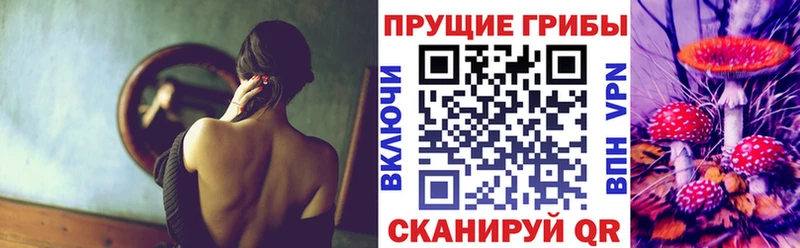 Галлюциногенные грибы Cubensis  Амурск 