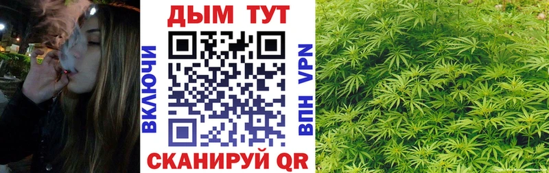 цены наркотик  ссылка на мегу сайт  Бошки марихуана семена  Амурск 